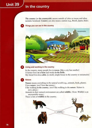 Basic Vocabulary in Use: 60 Units of Vocabulary Practice in North American English With Answers,Used