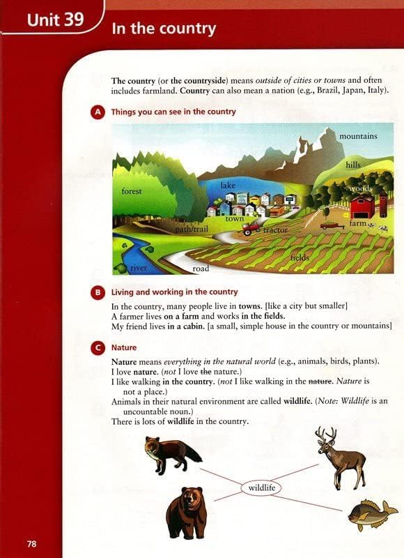 Basic Vocabulary in Use: 60 Units of Vocabulary Practice in North American English With Answers,Used