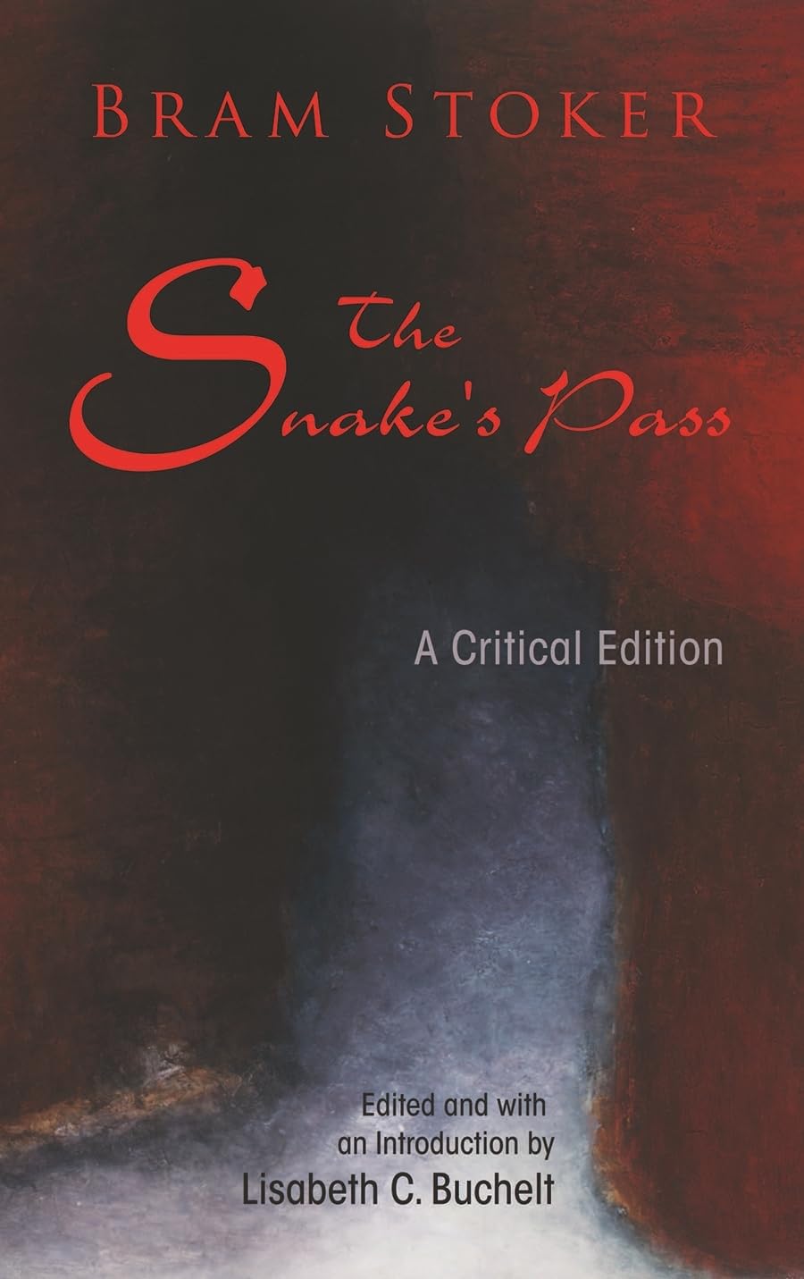 The Snake'S Pass: A Critical Edition (Irish Studies),Used