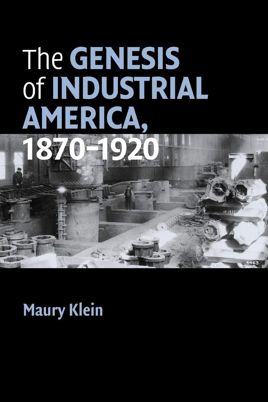 The Genesis of Industrial America, 18701920 (Cambridge Essential Histories),Used