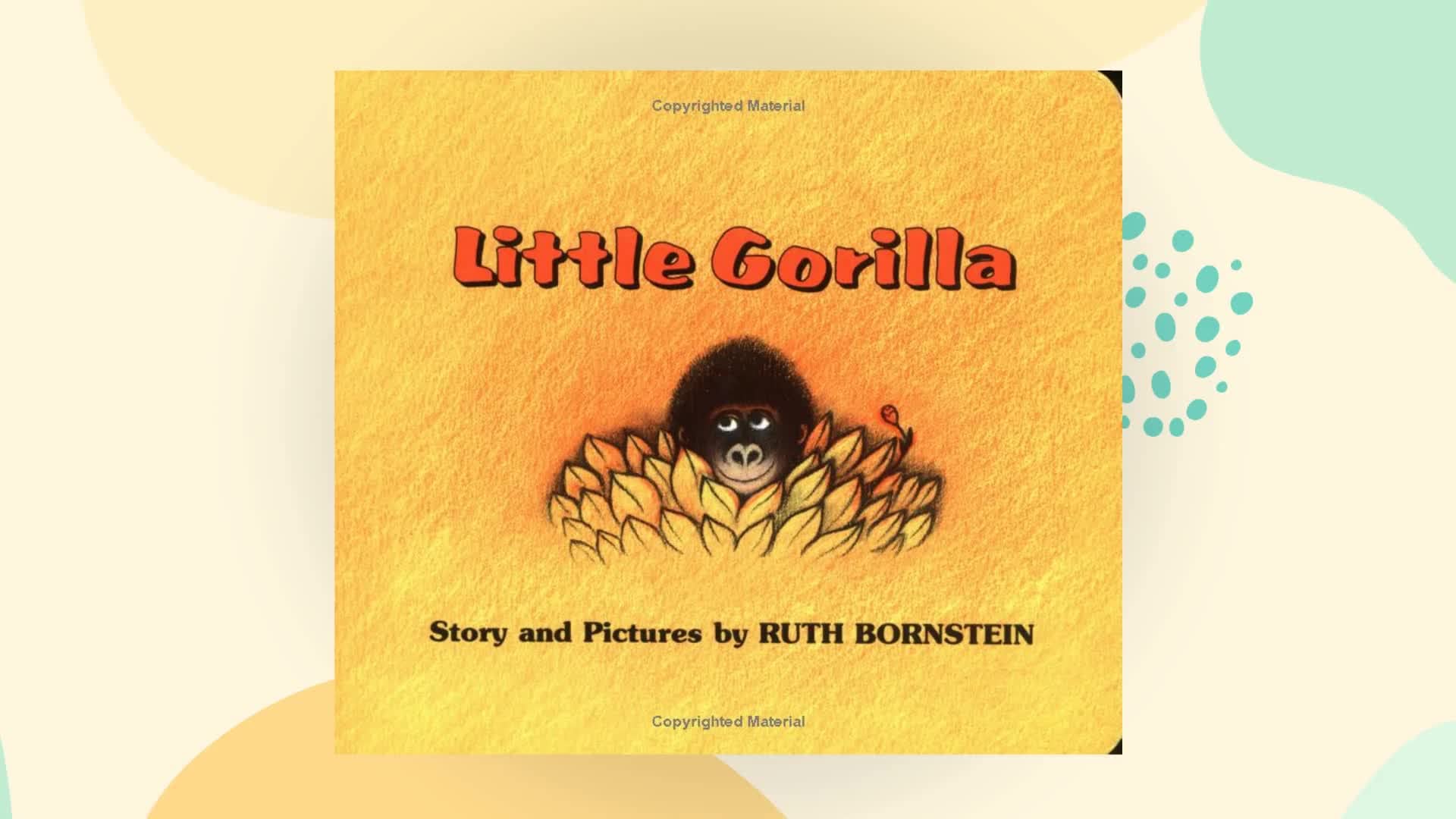 Little Gorilla,Used