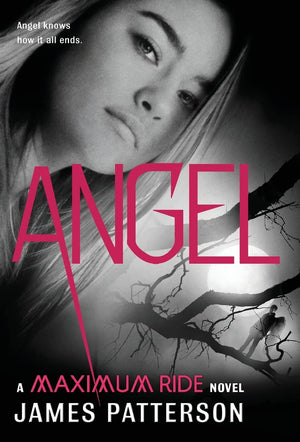 Angel: A Maximum Ride Novel (Maximum Ride, 7),Used