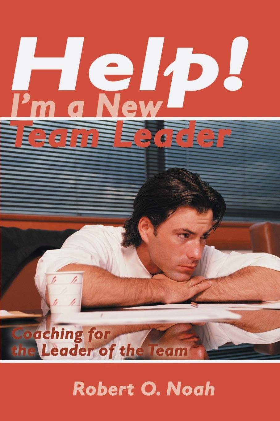 Help! I'm a New Team Leader: Coaching for the Leader of the Team,New