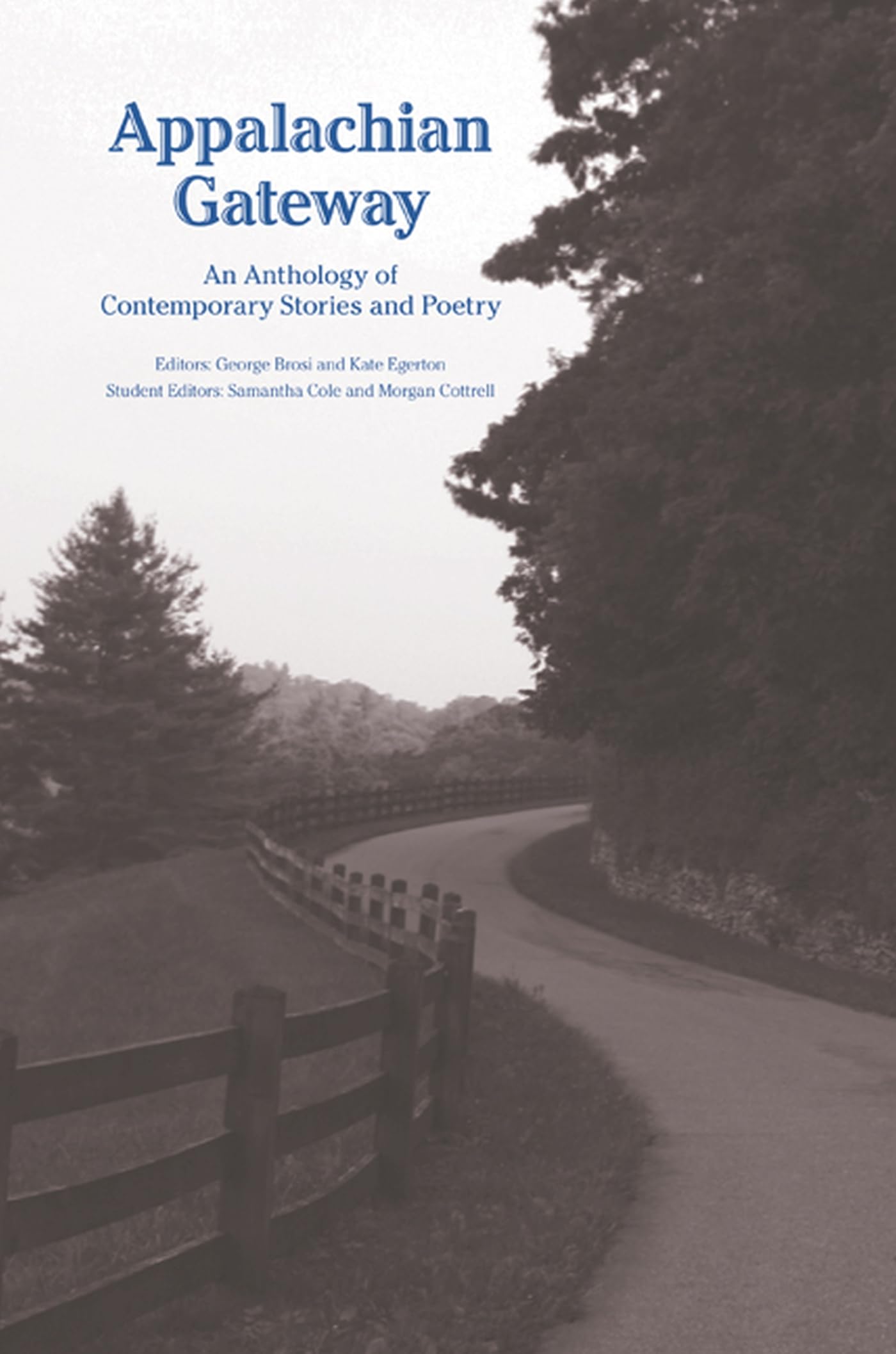 Appalachian Gateway: An Anthology Of Contemporary Stories And Poetry,Used
