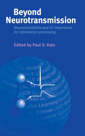 Beyond Neurotransmission: Neuromodulation and Its Importance for Information Processing,Used