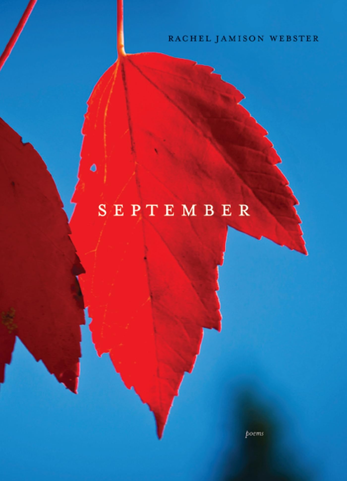 September: Poems,Used