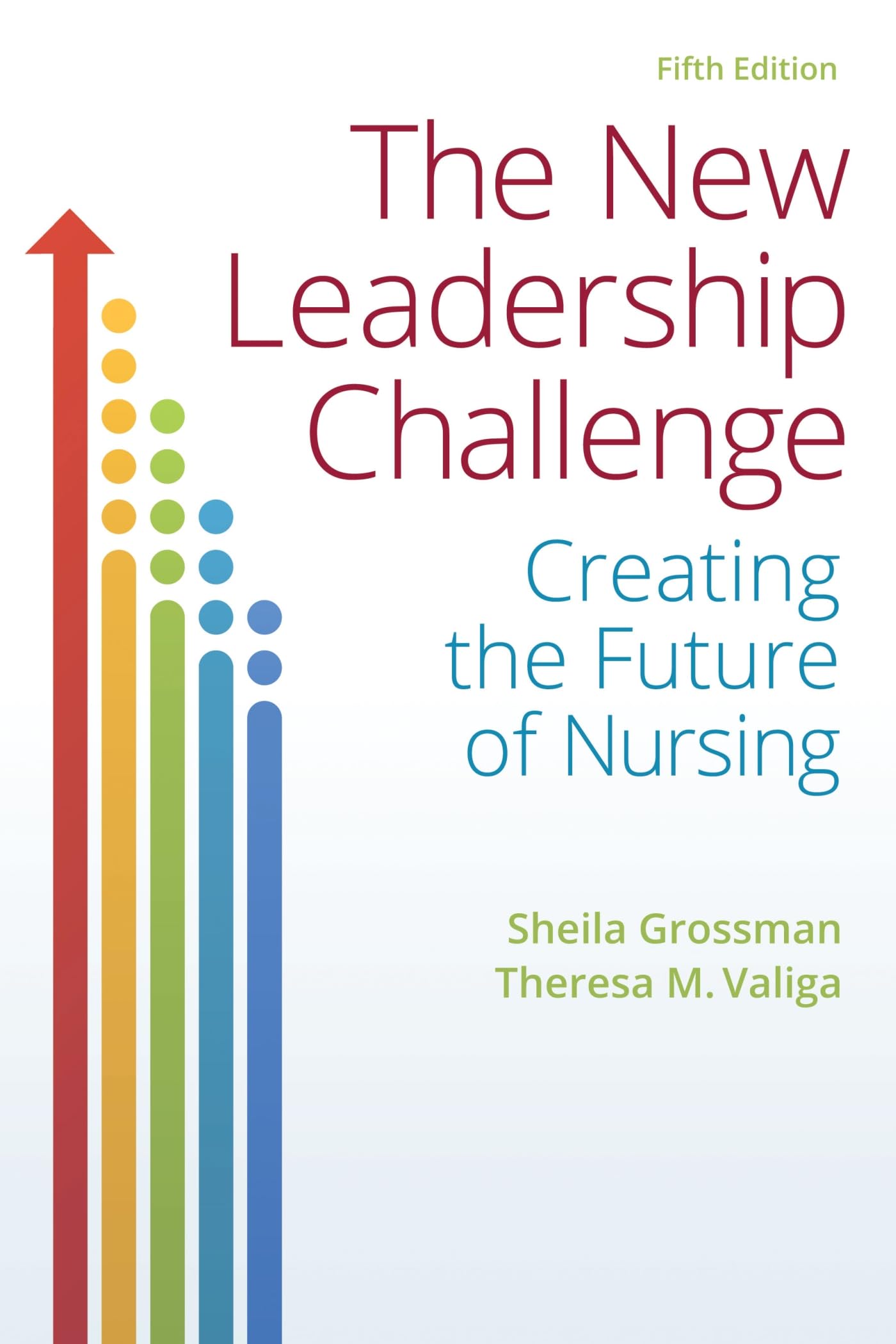 The New Leadership Challenge: Creating The Future Of Nursing-new