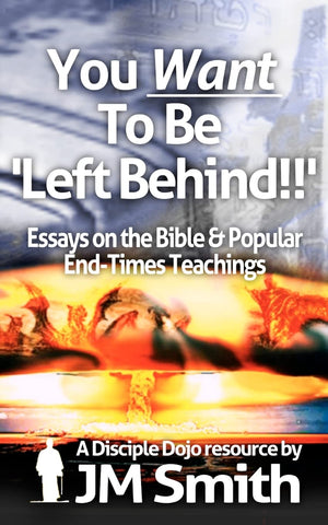 You Want To Be 'Left Behind': Essays On The Bible And Popular End Times Teachings,Used