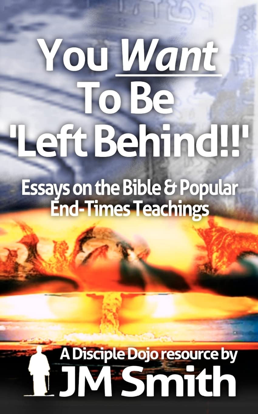 You Want To Be 'Left Behind': Essays On The Bible And Popular End Times Teachings,Used