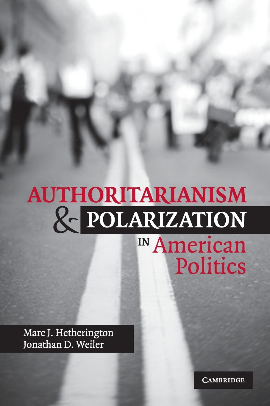 Authoritarianism and Polarization in American Politics,Used