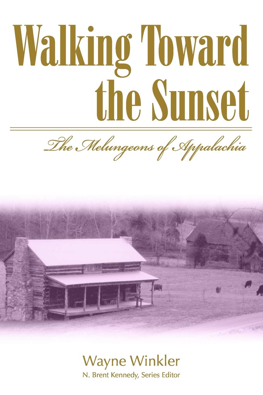 Walking Toward The Sunset: The Melungeons Of Appalachia (Melungeons: History, Culture, Ethnicity, & Literature (Paperback))-used