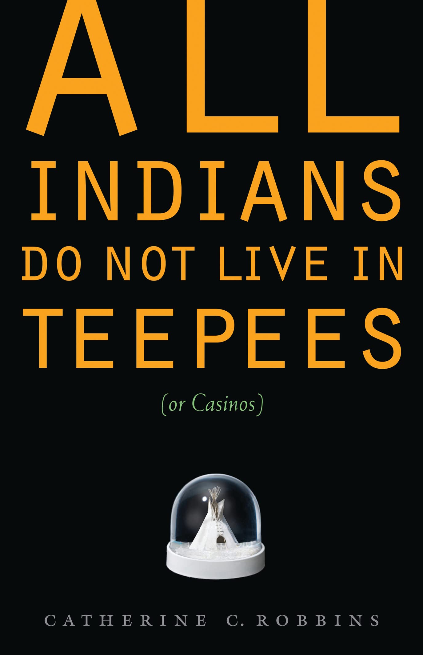 All Indians Do Not Live In Teepees (Or Casinos),Used