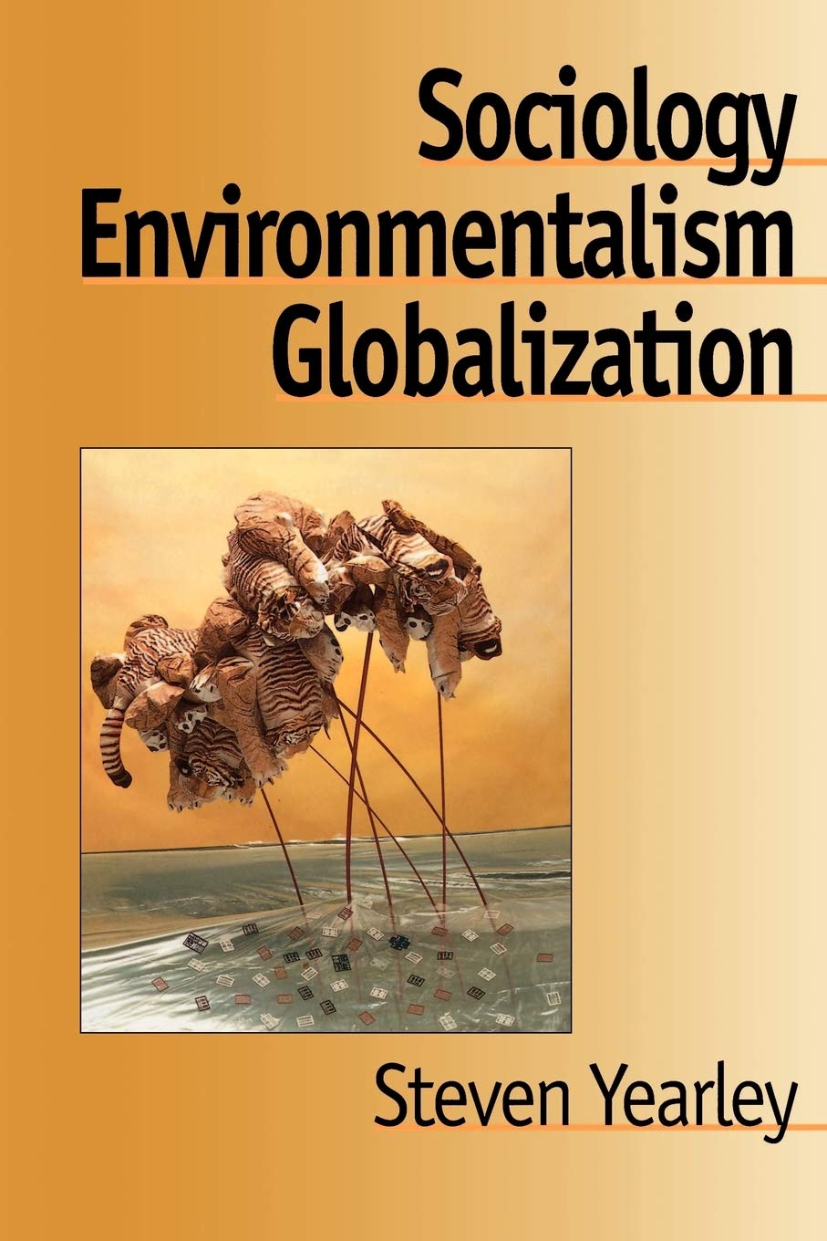 Sociology, Environmentalism, Globalization: Reinventing the Globe (New Horizons in Sociology  International Perspectives , Vol ,Used
