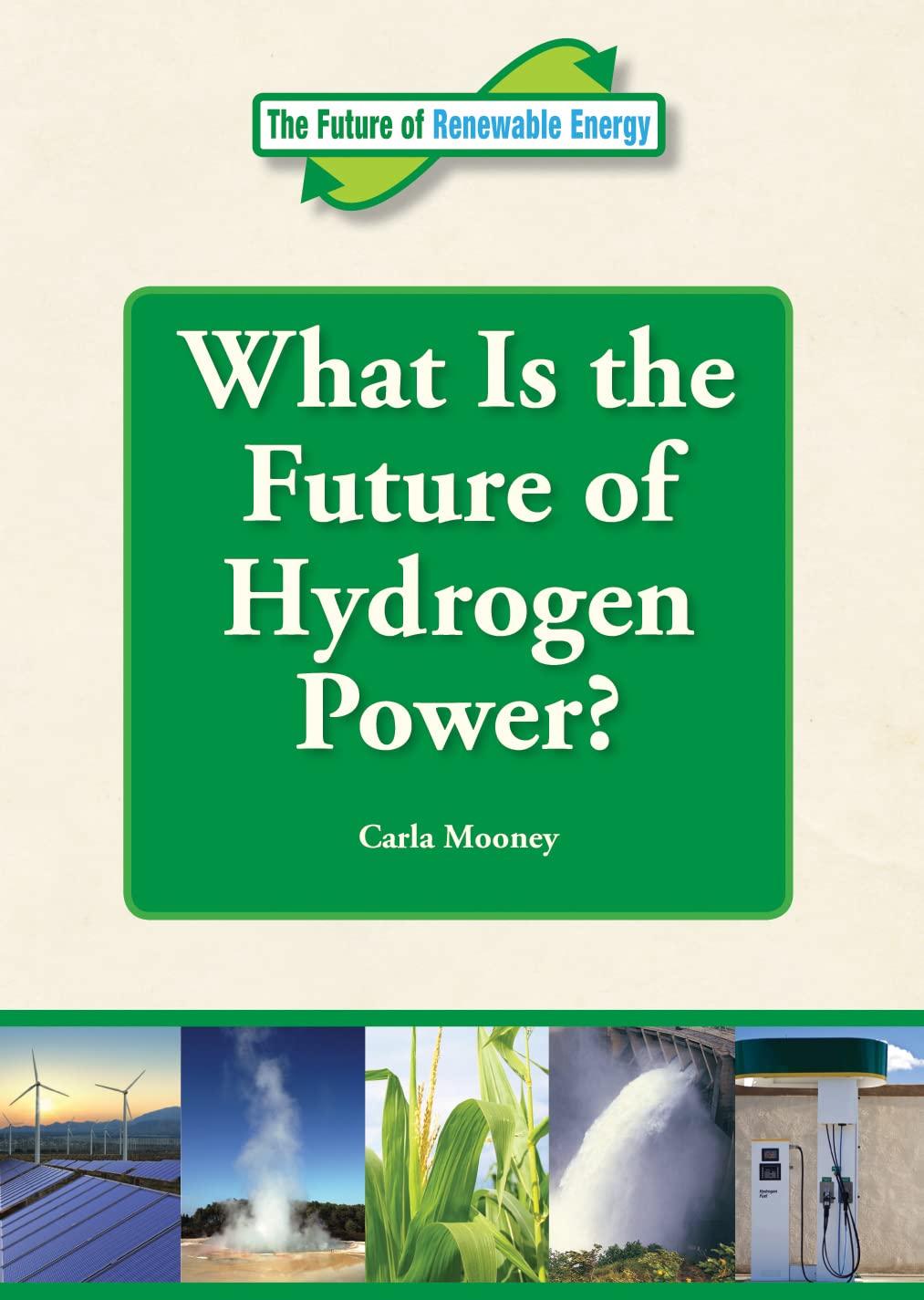 What Is the Future of Hydrogen Power? (Future of Renewable Energy (Reference Point)),Used