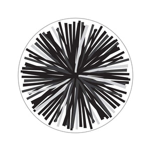 Schoolgirl Style  Simply Stylish  Black & White Poms Colorful CutOuts, Classroom Dcor, 36 Pieces,Used