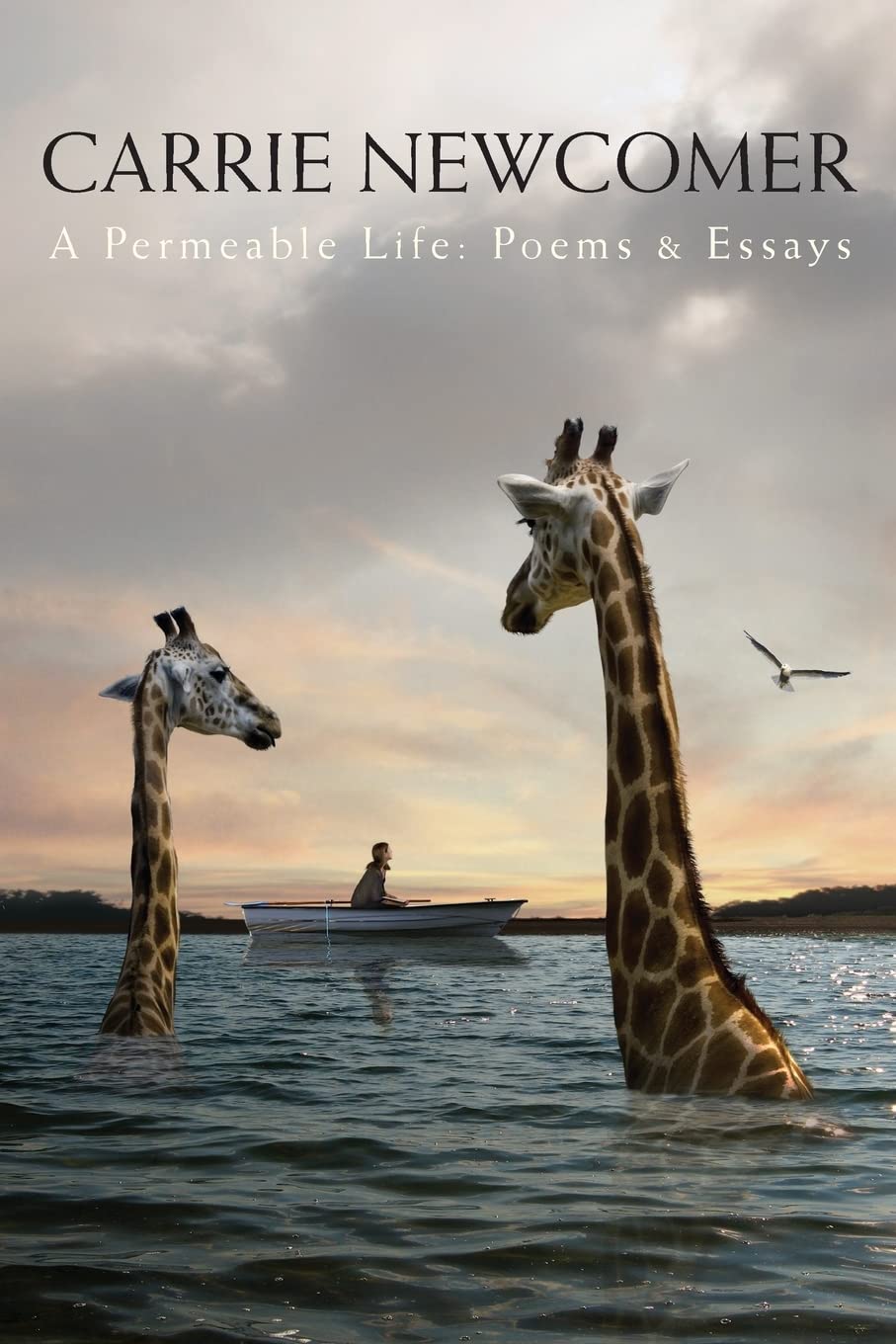 A Permeable Life: Poems & Essays,Used