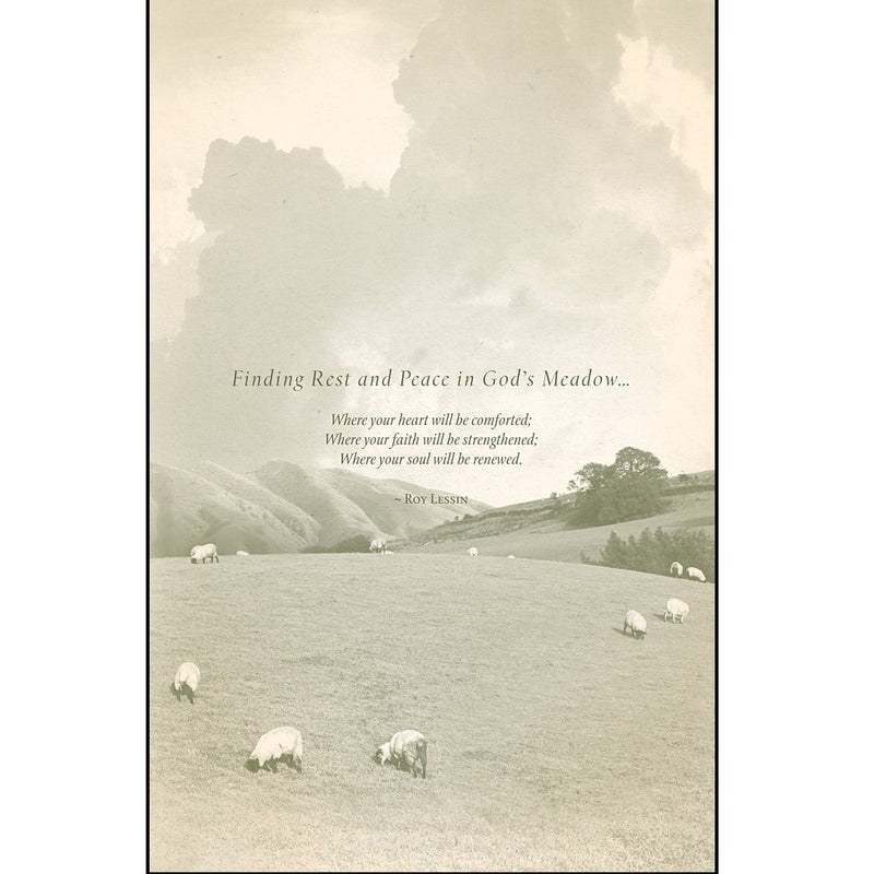 Meet Me In The Meadow Devotional Journal,Used