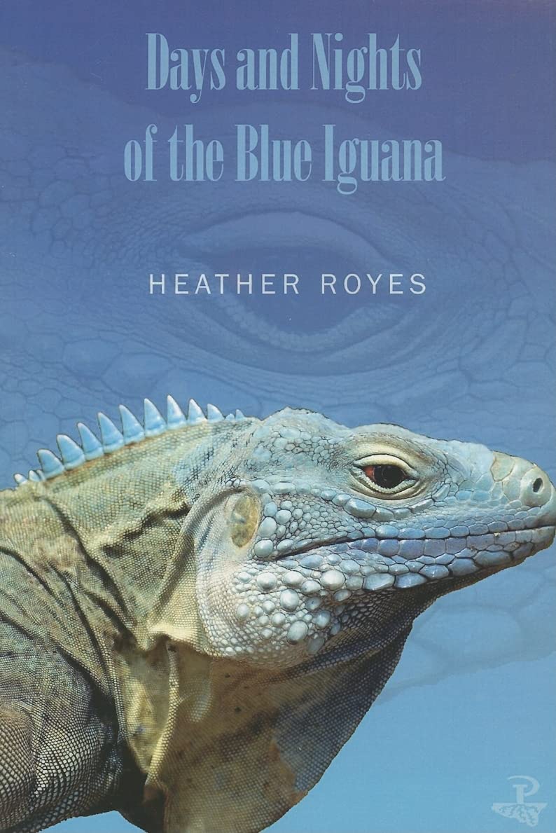 Days and Nights of the Blue Iguana,Used