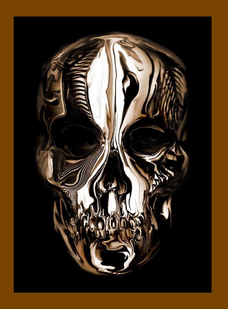Alexander Mcqueen: Savage Beauty-used