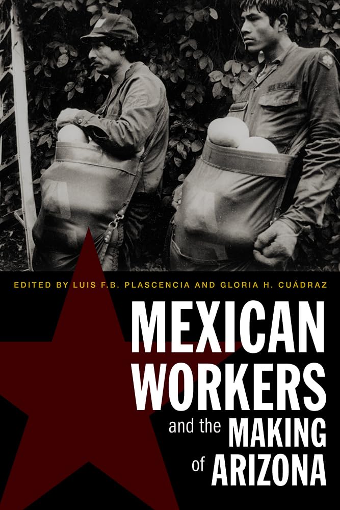 Mexican Workers And The Making Of Arizona,Used