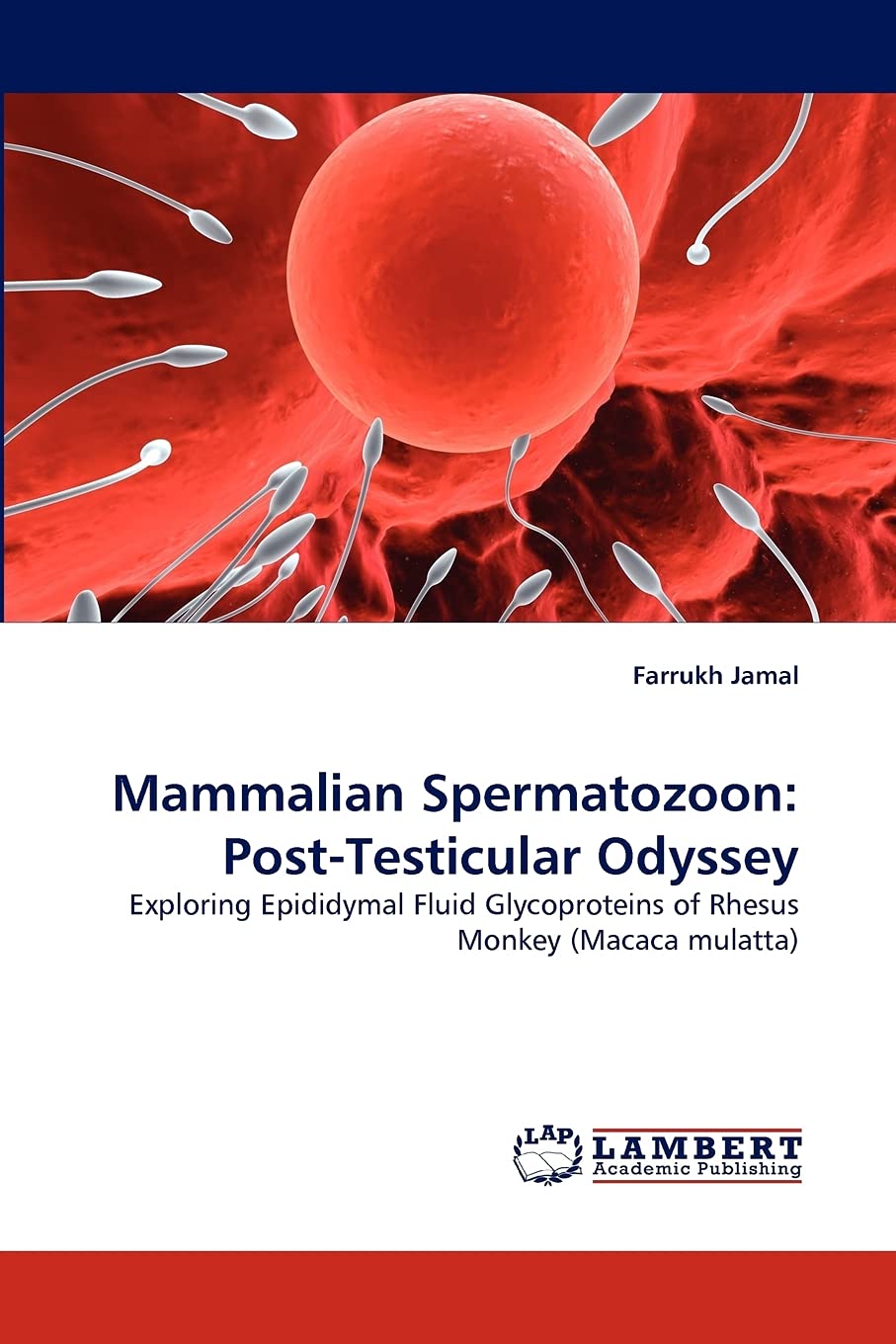 Mammalian Spermatozoon: PostTesticular Odyssey: Exploring Epididymal Fluid Glycoproteins of Rhesus Monkey (Macaca mulatta),Used