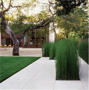 Andrea Cochran: Landscapes,New