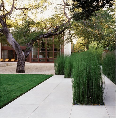 Andrea Cochran: Landscapes,New