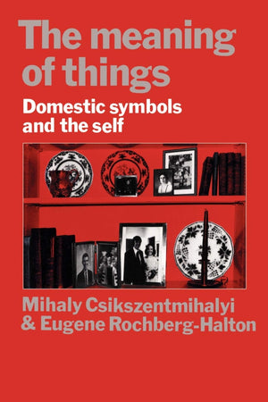 The Meaning Of Things: Domestic Symbols And The Self,New