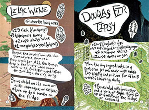 Blotto Botany: A Lesson in Healing Cordials and Plant Magic,Used