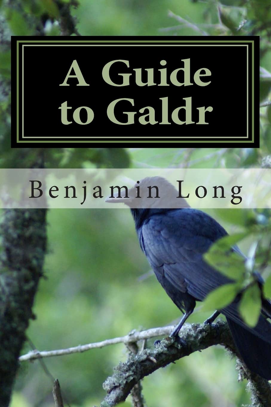 A Guide To Galdr,Used