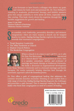 Healing Hurting Churches: The Economou Process,Used