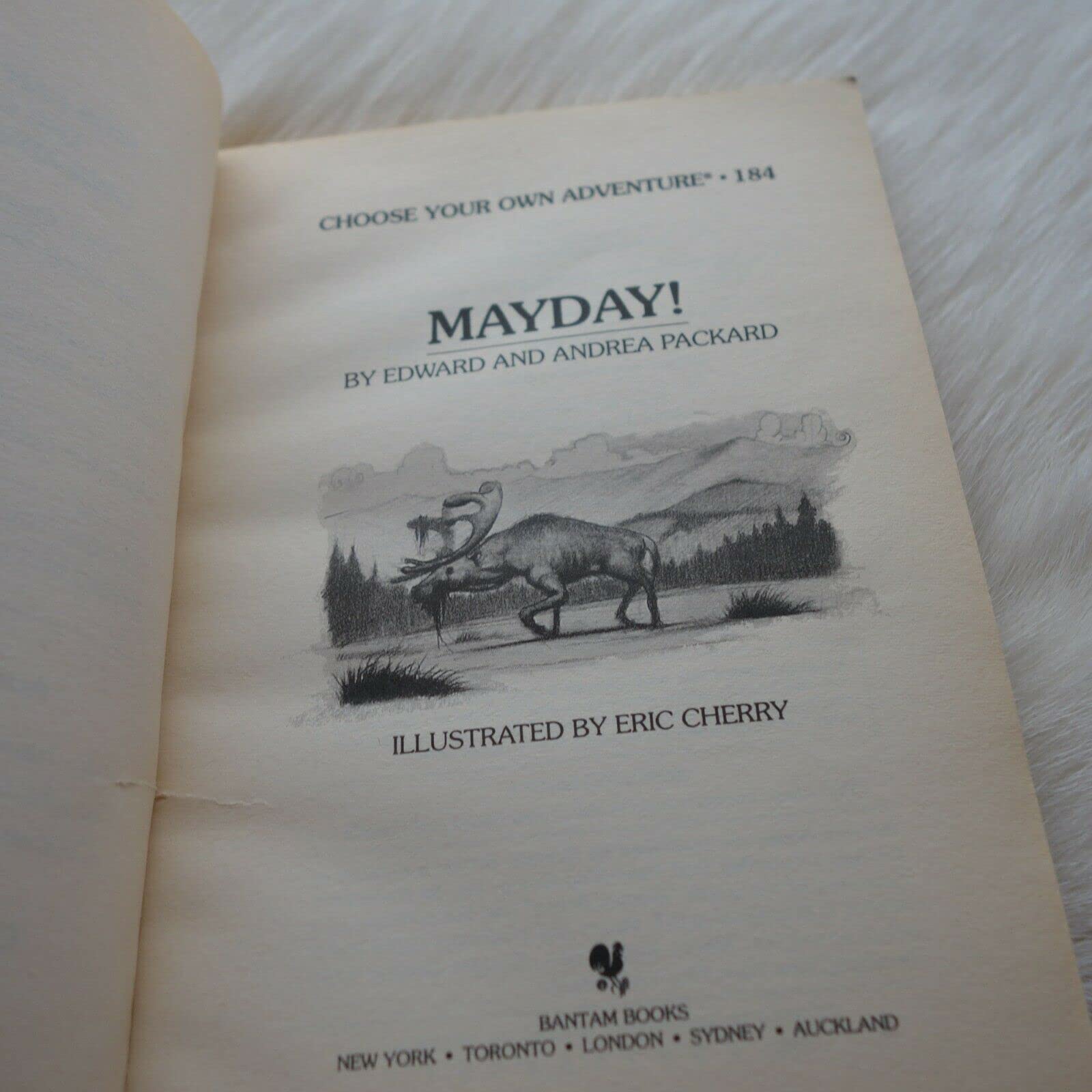 Mayday! (Choose Your Own Adventure No. 184),Used