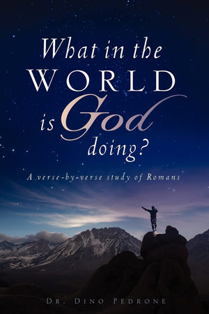 What in the World Is God Doing?,Used