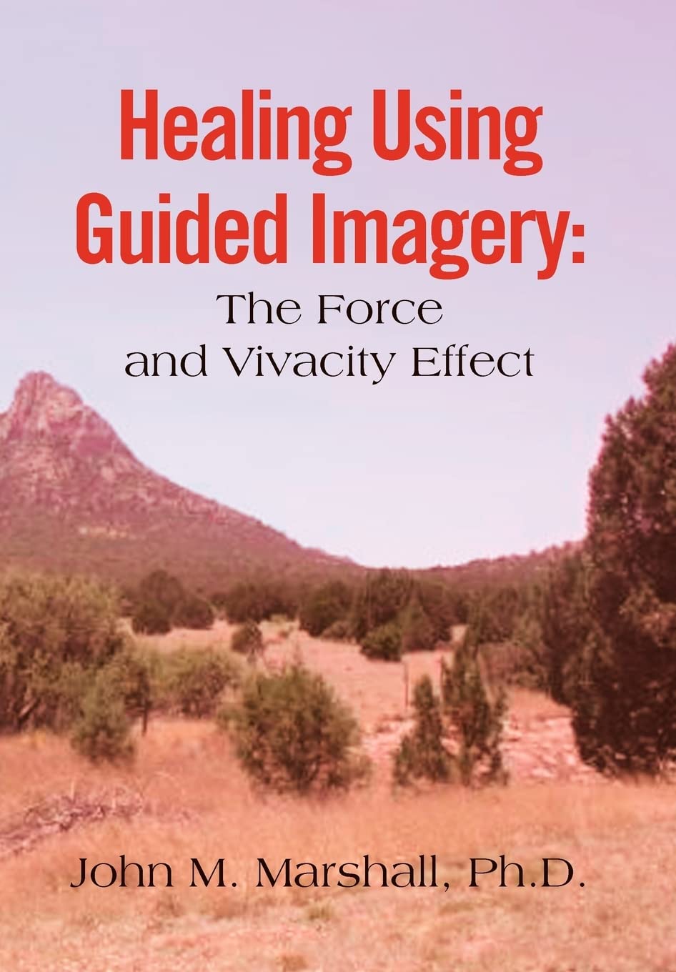 Healing Using Guided Imagery: The Force and Vivacity Effect,Used