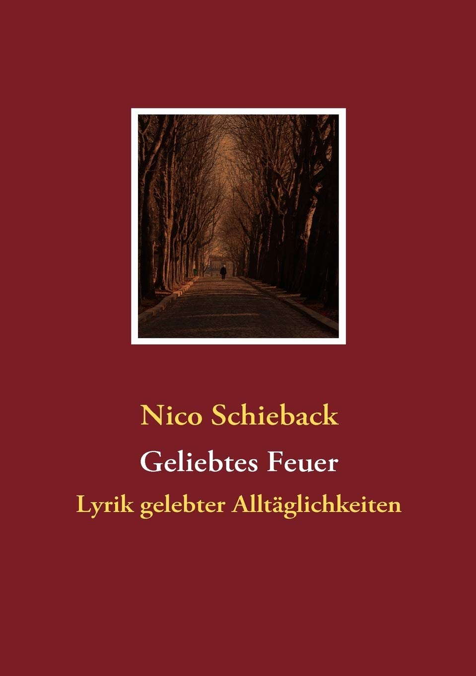 Geliebtes Feuer: Lyrik gelebter Alltglichkeiten (German Edition),Used