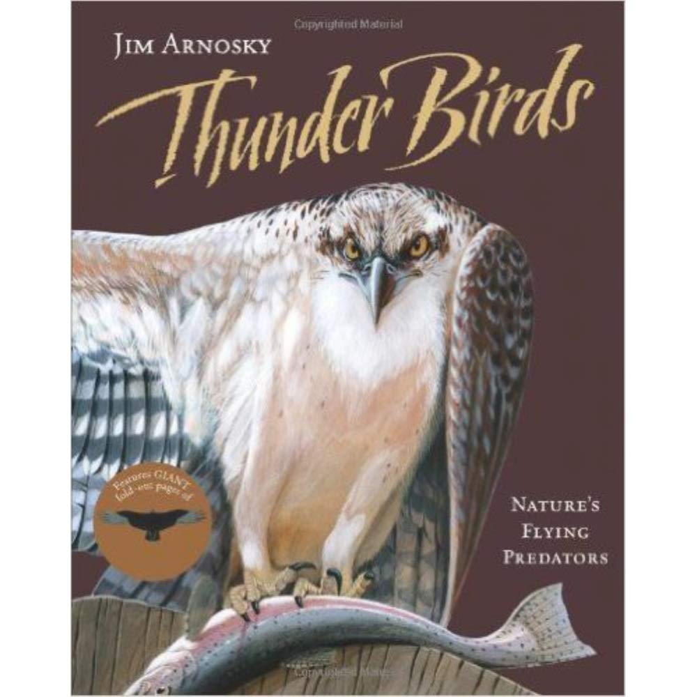 Thunder Birds: Natures Flying Predators,New