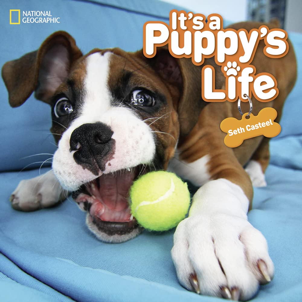It's a Puppy's Life,Used