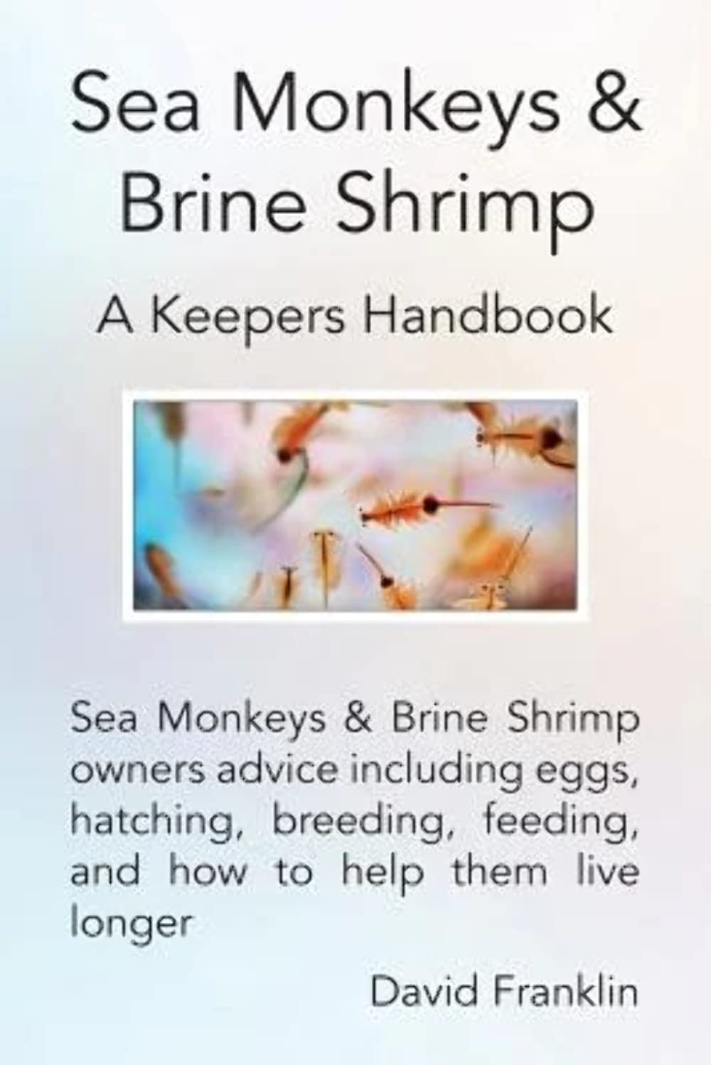 Sea Monkeys & Brine Shrimp: Sea Monkeys & Brine Shrimp owners advice including eggs, hatching, breeding, feeding and how to help,Used