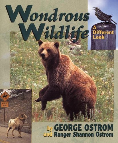 Wondrous Wildlife: A Different Look,Used