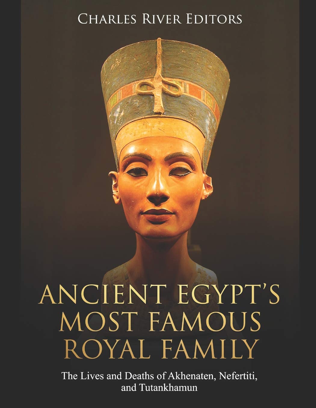 Ancient Egypts Most Famous Royal Family: The Lives and Deaths of Akhenaten, Nefertiti, and Tutankhamun,Used