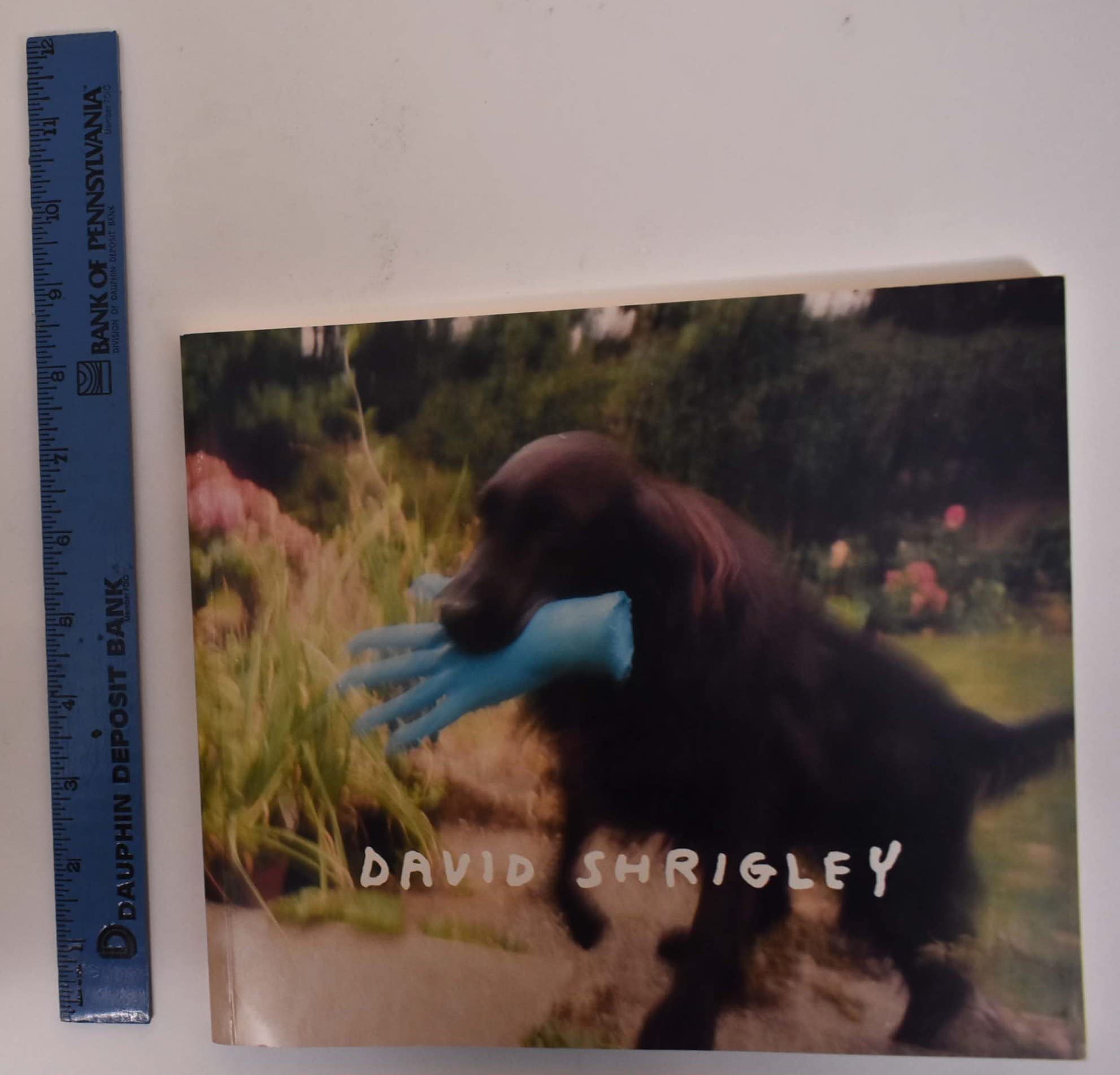 David Shrigley,Used