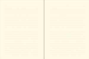 Hummingbird Journal (Diary, Notebook),Used