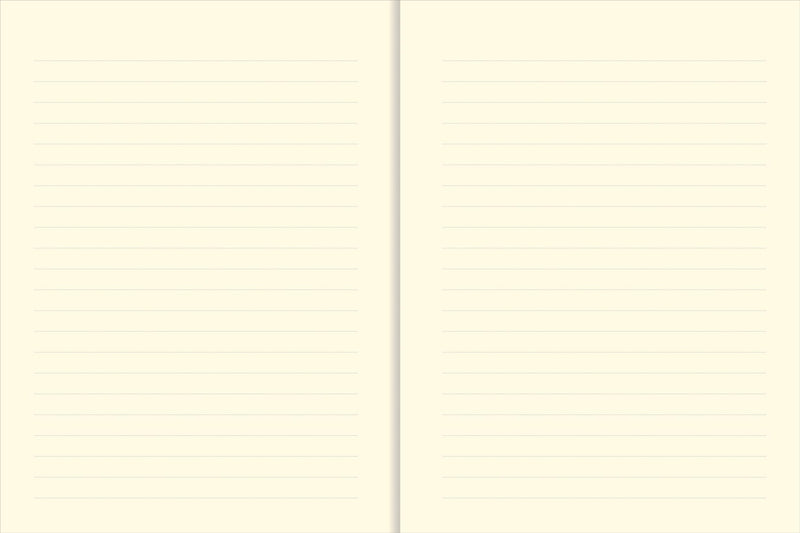 Hummingbird Journal (Diary, Notebook),Used