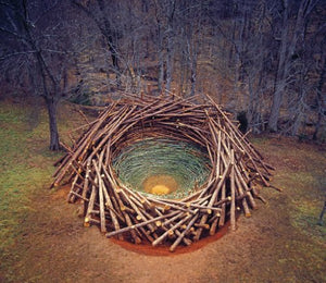 Art Parks: A Tour of America's Sculpture Parks and Gardens,New