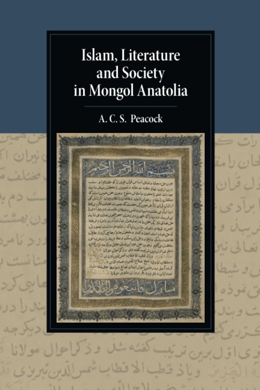 Islam, Literature and Society in Mongol Anatolia (Cambridge Studies in Islamic Civilization),Used