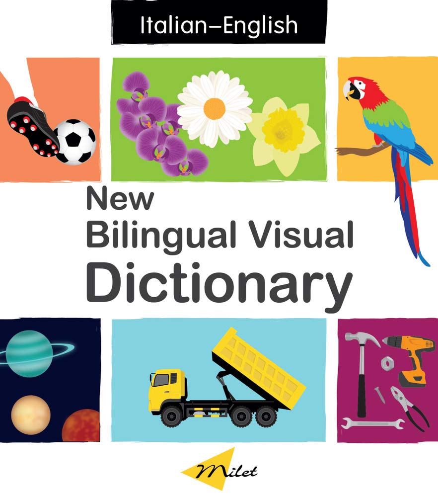 New Bilingual Visual Dictionary,Used