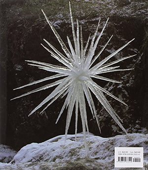 Andy Goldsworthy: A Collaboration With Nature