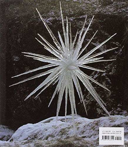 Andy Goldsworthy: A Collaboration With Nature