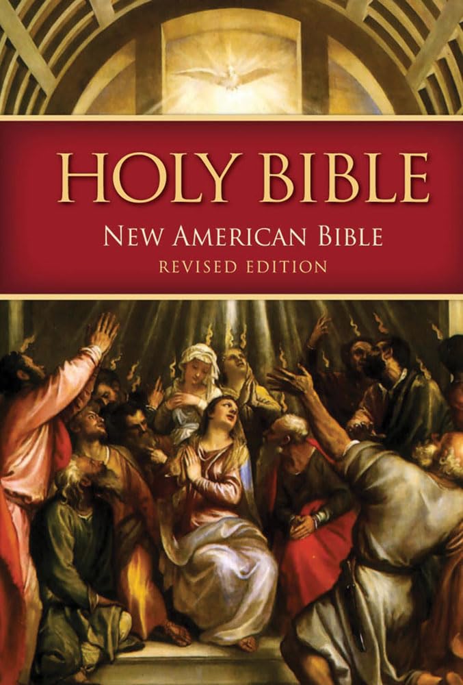 NABRE  New American Bible Revised Edition (Quality Paperbound): Standard Size  Quality Paperbound,Used