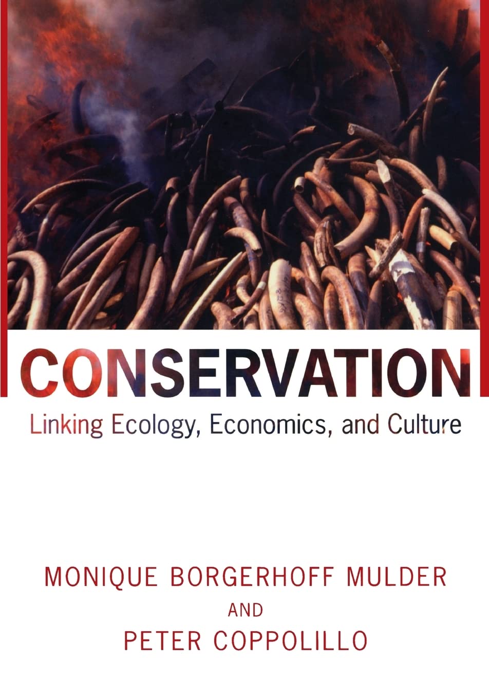 Conservation: Linking Ecology, Economics, and Culture,New